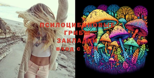 ешки Алексеевка