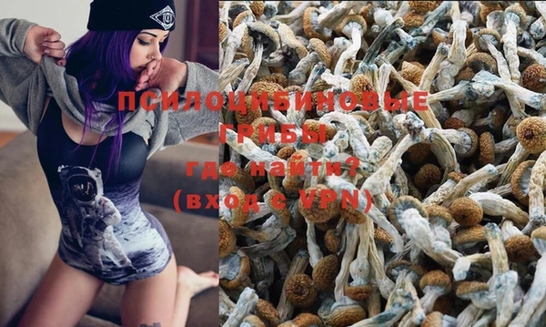 спайс Алзамай