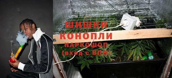 спайс Алзамай