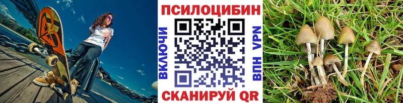 где продают наркотики  Боровск  Псилоцибиновые грибы Psilocybe 
